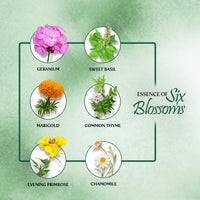 Golden Beauty Alpine Dew Talc Powder with Chamomile, Pack of 2, 400g (Buy one get one)