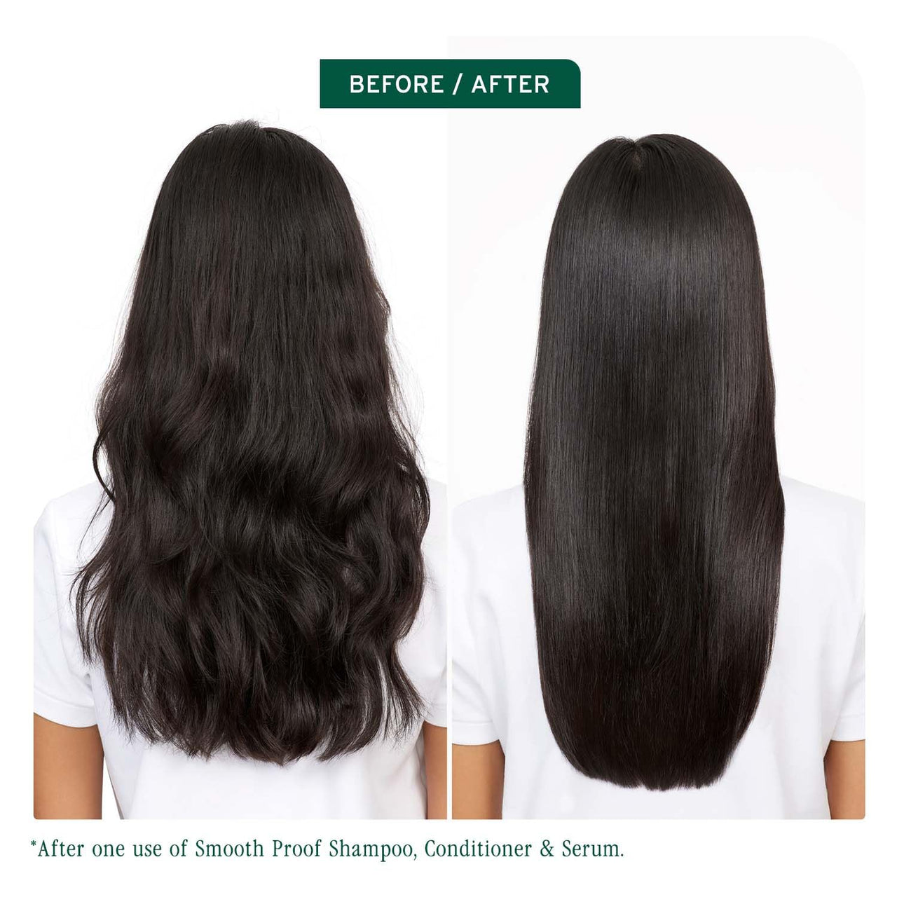Biolage Smooth Proof Anti-Frizz Shampoo |Up to 72HR Frizz Control | With Camellia Oil & Glycerin | For Dry and Frizzy Hair | For Women and Men | Vegan & Cruelty-Free