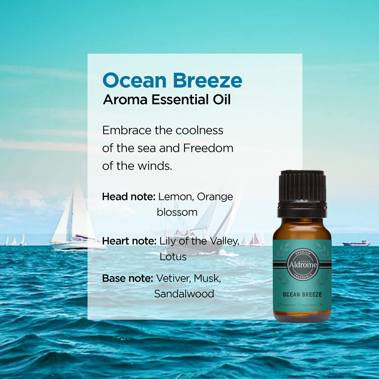 ALDROME OCEAN BREEZE Fragrance Oil | (30ml) | Premium Grade | for Diffusers |Aroma Sprays, DIY Projects & More