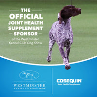 Cosequin Joint Health Supplement for Dogs - With Glucosamine, Chondroitin, MSM, and Omega-3's , 120 Soft Chews