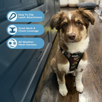 Voyager Step-in Air Dog Harness - All Weather Mesh Step in Vest Harness for Small and Medium Dogs and Cats by Best Pet Supplies - Harness (Army/Black Trim), L (Chest: 18-20.5