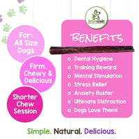 Nature Gnaws Beef Jerky Sticks for Dogs - Single Ingredient Beef Gullet Chew Treats - Simple Natural Delicious Dog Chews - Training Reward - 5-6 Inch