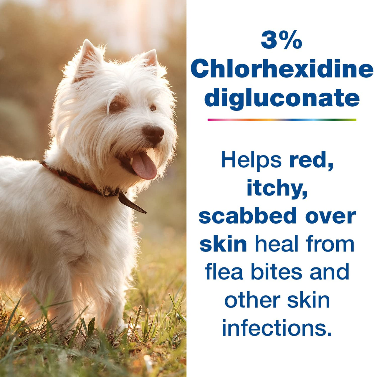 Douxo S3 PYO Mousse 5.1 oz (150 mL), Used for Dogs and Cats with Skin Conditions