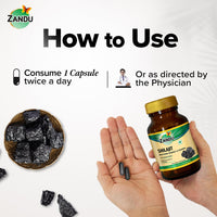Zandu Shilajit Capsules (60 Caps) Infused with Goodness of Natural Shilajit Extracts for Enhanced Energy & Strength in Men, Manages Stress, Immunity Booster
