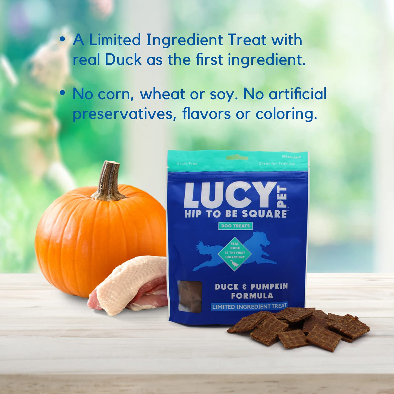 Lucy Pet Hip To Be Square Duck And Pumpkin Dog Treats 6Oz 6 Ounce (Pack of 1)