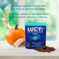 Lucy Pet Hip To Be Square Duck And Pumpkin Dog Treats 6Oz 6 Ounce (Pack of 1)