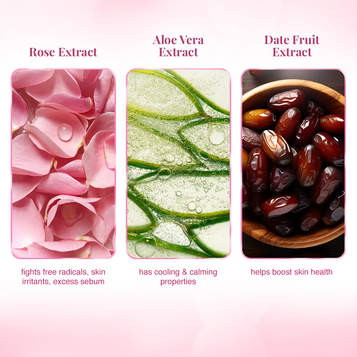 VLCC Rose Water Toner - 100ml (Pack of 2) - Tones & Rejuvenates Skin | Helps Maintain Skin's PH Balance | Helps Tighten the Pores and Gently Tones the Skin | With Rose, Aloe Vera, Mint, Date Fruit.