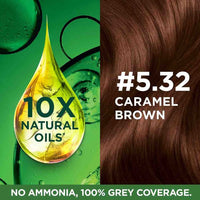 Garnier Skin Naturals, Day Cream, Protects Skin from Sun, Bright Complete Vitamin C Serum Cream, 45 g & Garnier, Hair Colouring Creme, Long-lasting Colour, Shade: 5.32 Caramel Brown, 70ml + 60g