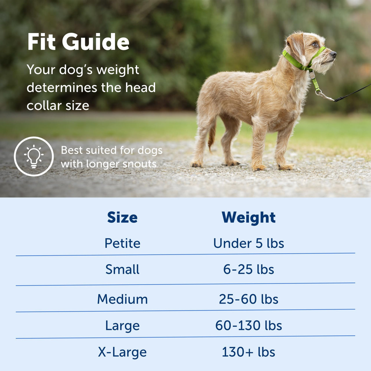 PetSafe Gentle Leader No-Pull Dog Headcollar - The Ultimate Solution to Pulling - Redirects Your Dog's  Pulling for Easier Walks - Helps You Regain Control - Small, Charcoal Grey, Charcoal