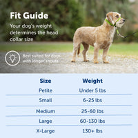 PetSafe Gentle Leader No-Pull Dog Headcollar - The Ultimate Solution to Pulling - Redirects Your Dog's  Pulling for Easier Walks - Helps You Regain Control - Small, Charcoal Grey, Charcoal