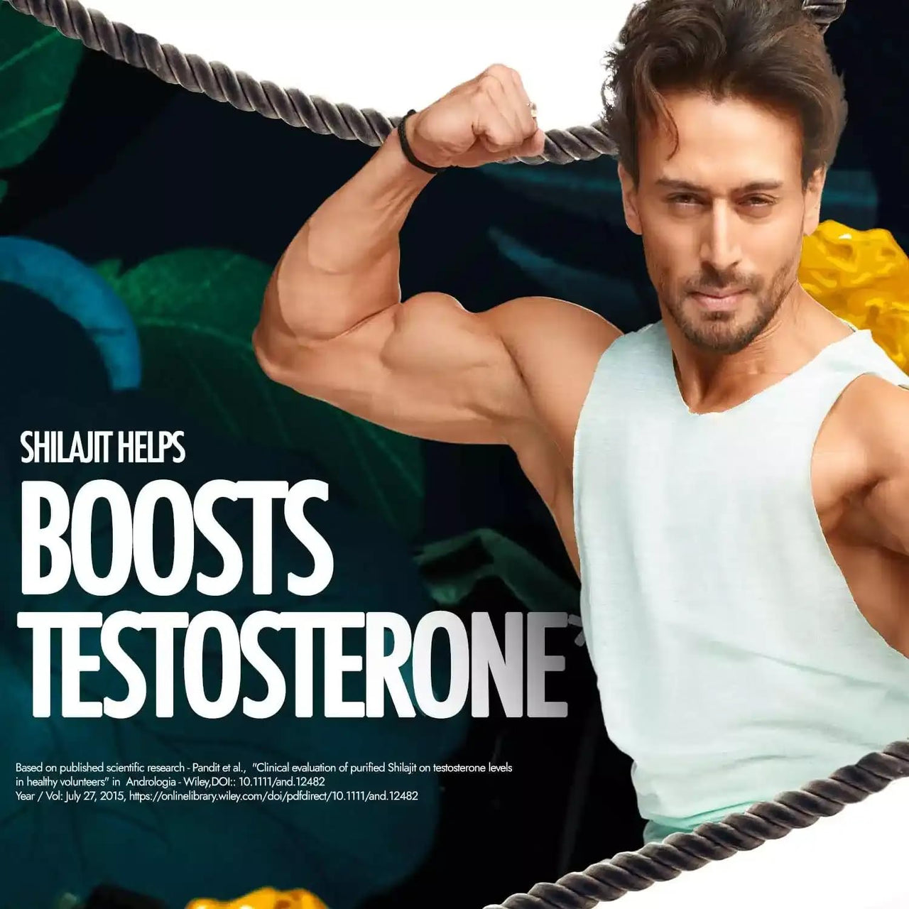 Kapiva Shilajit/Shilajeet Gold Resin - 20g | 500mg/Serving | 40 Servings | Boost Muscle Growth & Stamina | Contains 24 Carat Gold | 100% Ayurvedic