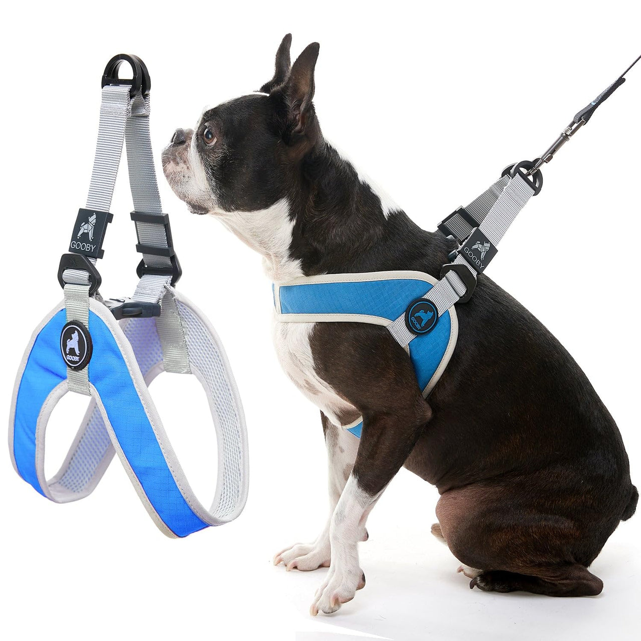 Gooby Simple Step in III Harness - Blue, X-Small - Small Dog Harness with Scratch Resistant Outer Vest - Soft Inner Mesh Harness for Small, Medium Dogs X-Small chest (12∼14.75")