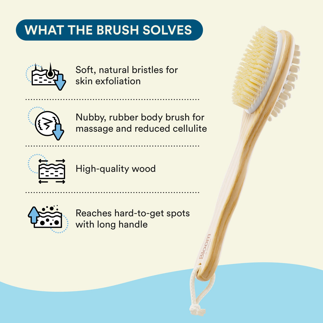 Bloom 2-in-1 Long Handle Body Brush | For Skin Exfoliation and Massage | Reduces Cellulite | Stimulates Blood Circulation & Reduces Dead Skin Cells | Natural, Soft Bristles | (1 unit)