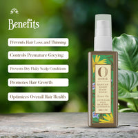 Ohria Ayurveda Banyan Root Hair Tonic for Hair Fall Control & Hair Growth – With Hibiscus, Brahmi, Aloe Vera, Vitamin E & B5 – Herbal Scalp Nourishment for Men & Women – All Hair Types – 50ml