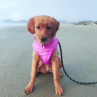 Gooby Puffer Vest Dog Jacket - Purple, Medium - Ultra Thin Zip Up Wind Breaker with Dual D Ring Leash - Water Resistant Small Dog Sweater Coat - Dog Clothes for Small Dogs Boy or Medium Dogs Medium chest (18