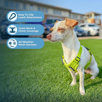 Voyager Step-in Air Dog Harness - All Weather Mesh Step in Vest Harness for Small and Medium Dogs and Cats by Best Pet Supplies - Harness (Lime Green), M (Chest: 16-18