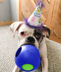 Jolly Pets Teaser Ball Dog Toy, Medium/6 Inches, Blue, 6-Inch Teaser Ball, Blue Medium (6 in)