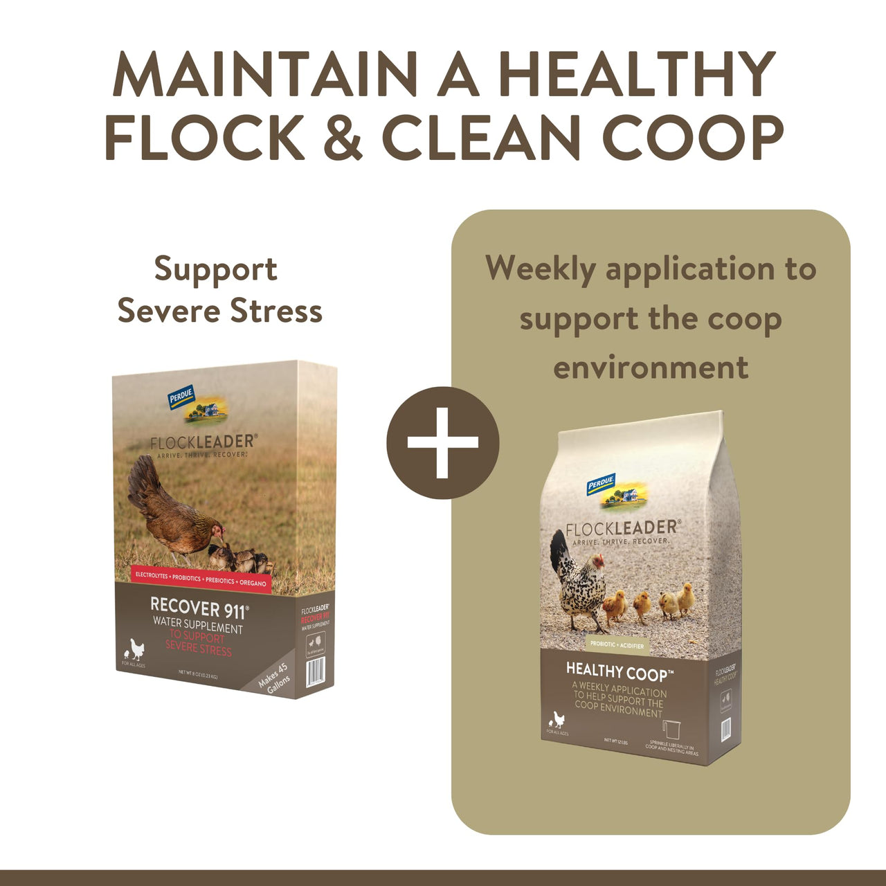 FlockLeader Recover 911, Severe Stress Probiotic Water Supplement for Chickens with Electrolytes, Prebiotics & Oregano, 8 oz