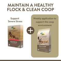FlockLeader Recover 911, Severe Stress Probiotic Water Supplement for Chickens with Electrolytes, Prebiotics & Oregano, 8 oz