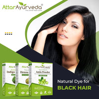 Attar Ayurveda Henna Leaves Powder, Indigo Leaves powder and Amla Powder Combo (650 Grams)