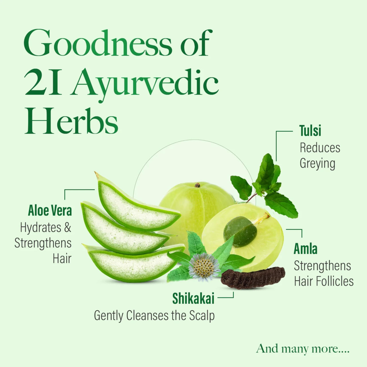 Kesh King Anti Hairfall Conditioner | Aloe Vera & 21 Herbs| No Paraben & No Silicon | 200 ml, 1 Count