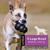 KONG - Extreme Dog Toy - Toughest Natural Rubber, Black - Fun to Chew, Chase and Fetch - for X-Large Dogs Standard Packaging
