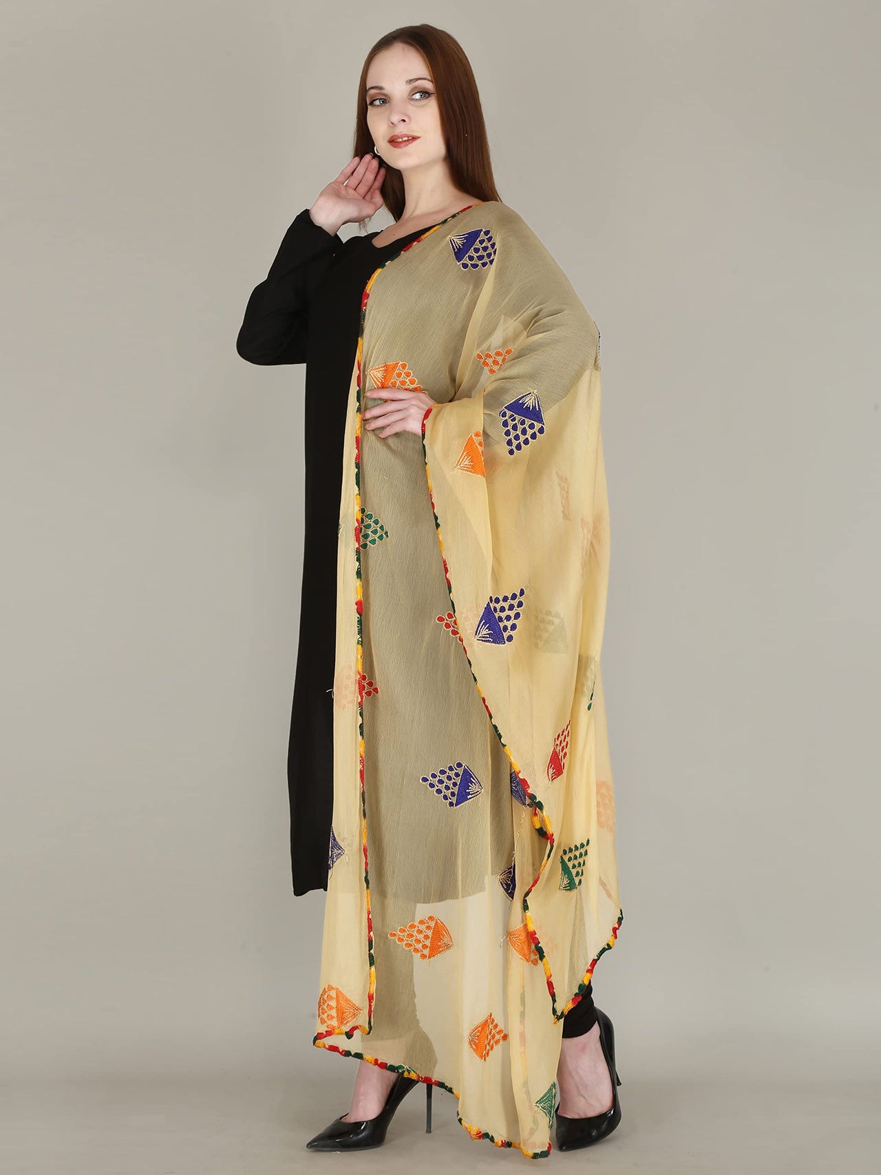 DIAMO Embroidered Chiffon Women's  Dupatta