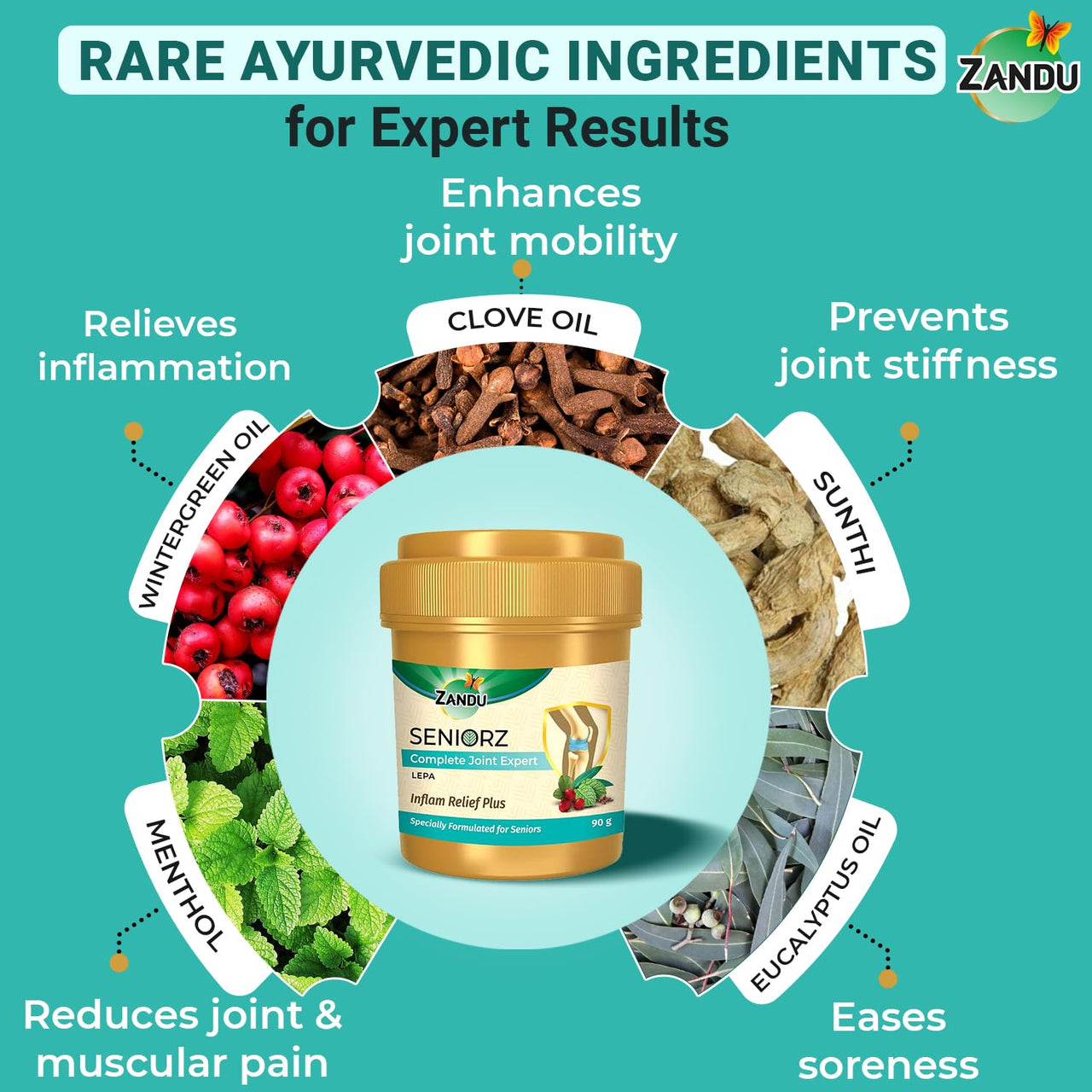 Zandu Seniorz Complete Joint Expert Lepa, 90g, Helps reduce muscular & joint pain, Increase Joint Flexibility & Reduce Joint Stiffness, 100% Ayurvedic & Natural Balm