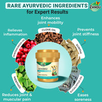 Zandu Seniorz Complete Joint Expert Lepa, 90g, Helps reduce muscular & joint pain, Increase Joint Flexibility & Reduce Joint Stiffness, 100% Ayurvedic & Natural Balm