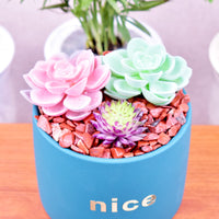 SigMntun Red Jasper Crystal Chips Bulk, Natural UNDYED - 10 oz (283g) Tumbled Stones for Crafts Decorative Rocks Planters, Healing Crystals Reiki Chakra Meditation Energy Balancing Therapy 10 Oz - Red Jasper