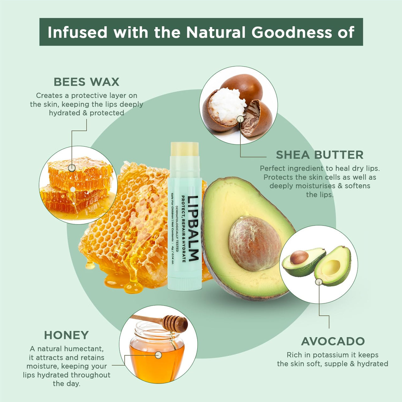 Bella Vita Organic Natural LipBalm for Dry Damaged & Chapped Lips Enriched with Shea Butter, Avocado 4 gm