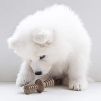 Benebone Puppy 2-Pack Maplestick/Zaggler Durable Dog Chew Toys for Gentle Chewers, Real Bacon, Real Maplewood, Made in USA, Tiny