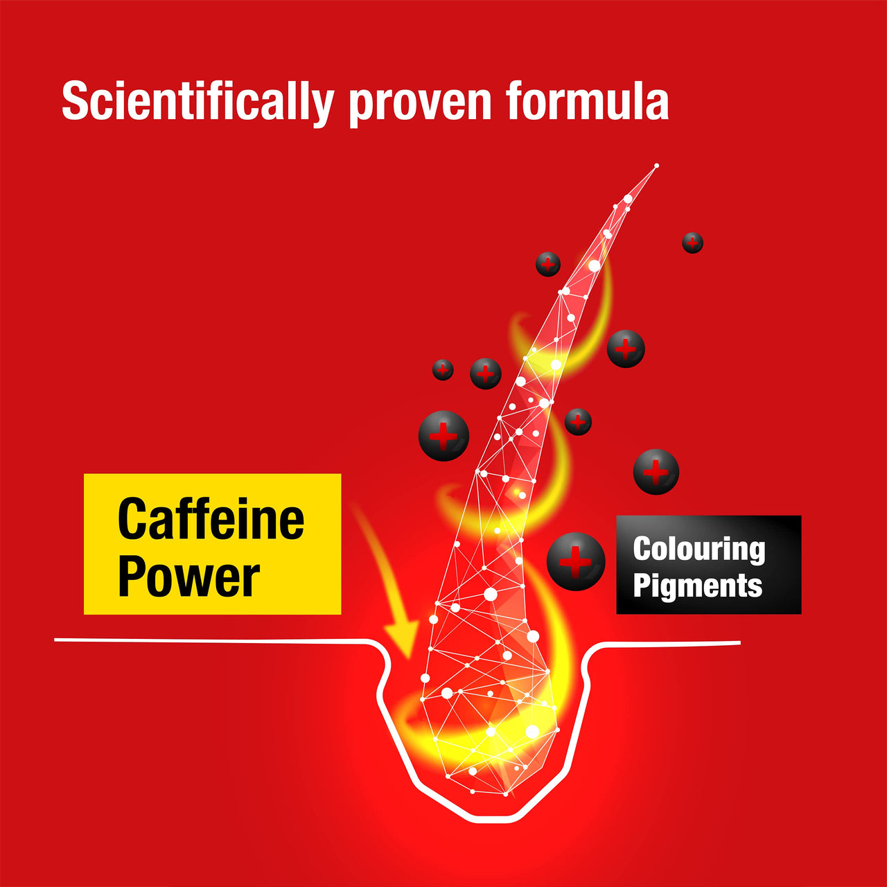 Alpecin Tuning Shampoo 200ml | Preserves Natural Hair Colour and Supports Natural Hair Growth | Dark Caffeine Shampoo to Cover Early Grey Hairs | Hair Care for Men