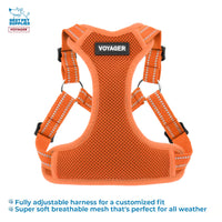 Best Pet Supplies Voyager Adjustable Dog Harness Leash Set with Reflective Stripes for Walking Heavy-Duty Full Body No Pull Vest with Leash D-Ring, Breathable All-Weather - Harness (Orange), XS Harness Leash Set (Orange) XS (Chest: 13 - 16