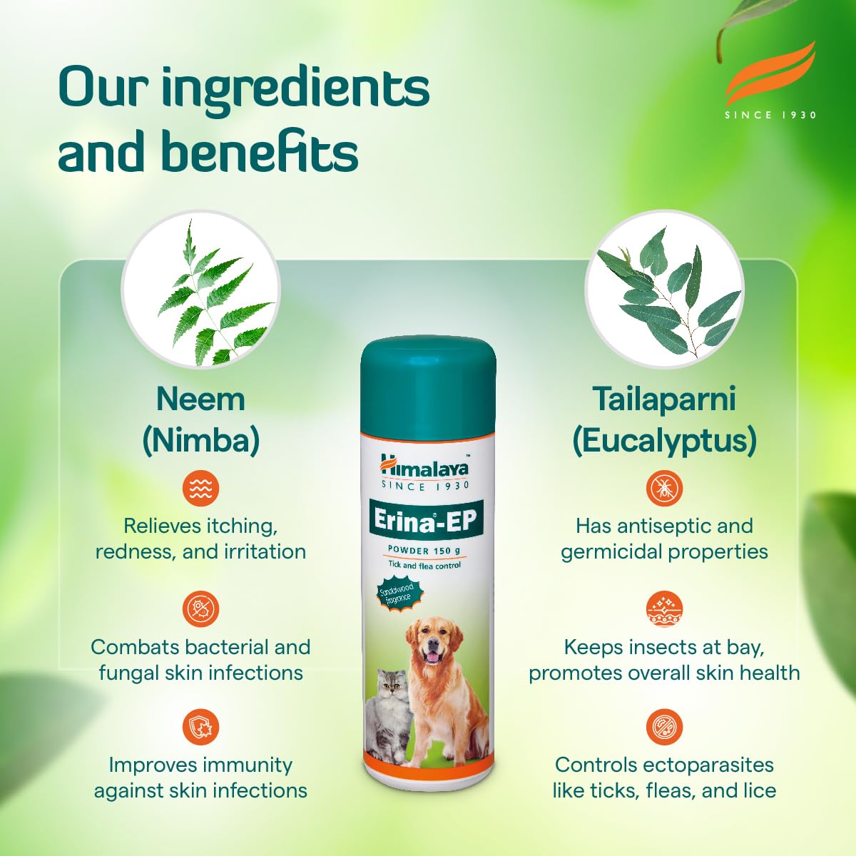 Himalaya Erina-EP Powder for Dogs and Cats | Neem & Eucalyptus Formula | Controls Ticks & Fleas | Soothes Skin Irritation |150 g