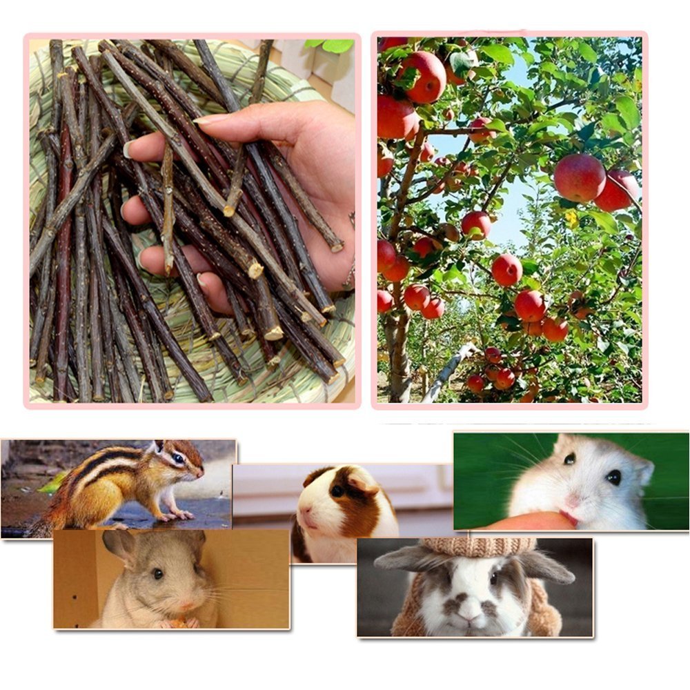 sharllen 400g (14.10oz) Natural Apple Sticks Wood Tree Branches Pet Snacks Chew Toys for Rabbit Hamsters Guinea Pig Chinchillas Squirrel and Other Small Animals by