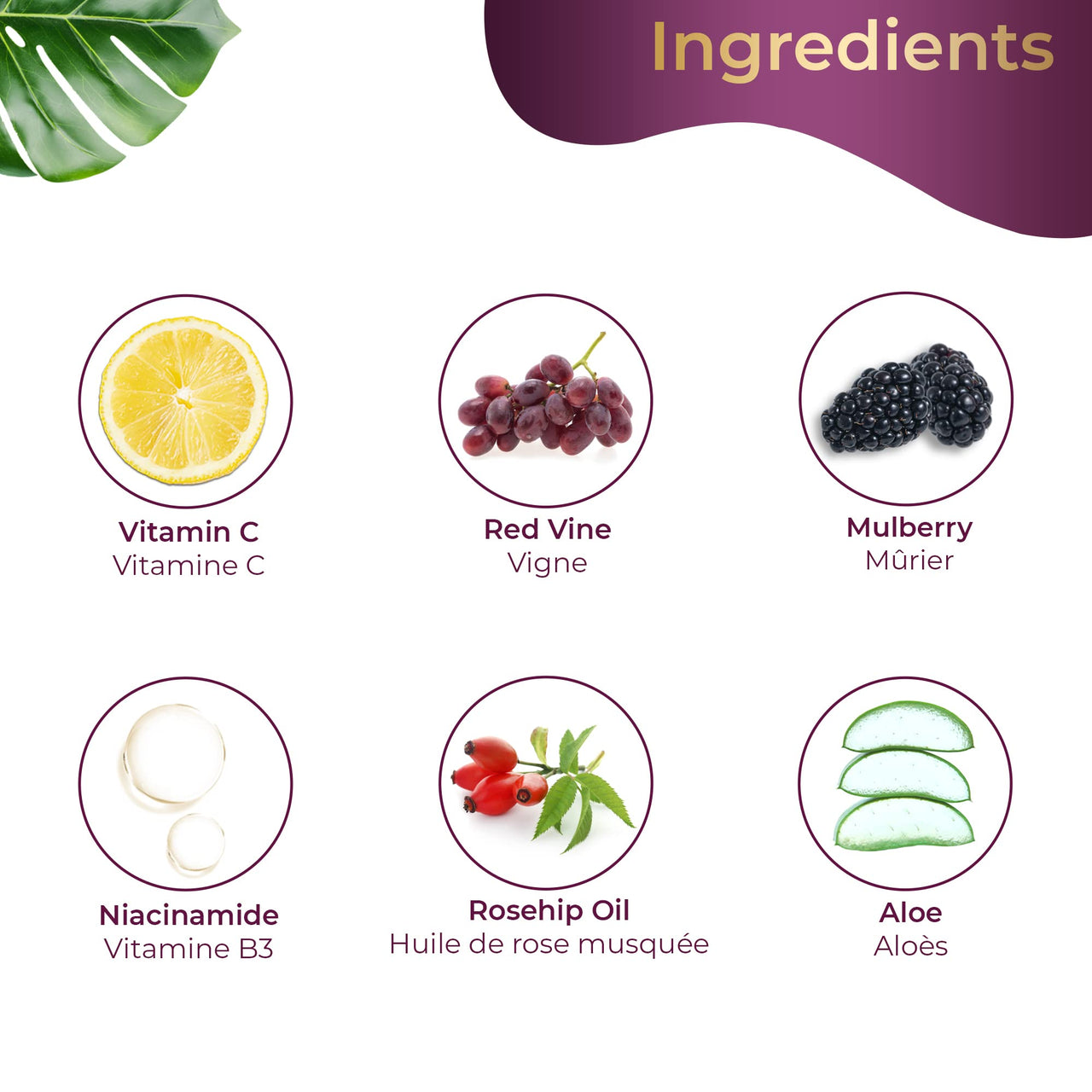 Pilgrim French Red Vine Premium Face Care Kit with Face Wash & Jute Kit Bag | Face Mask 100gm, Face Cream SPF 30 50gm, Face Scrub 50gm, Face Mist & Toner 100ml | Men & Women