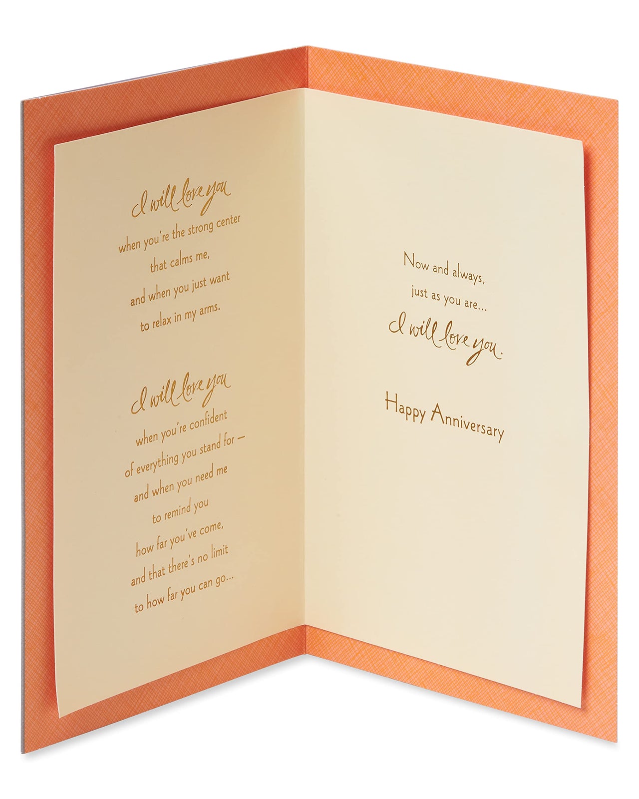American Greetings Romantic Anniversary Card (I Will) I Will
