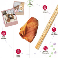 Nature Gnaws Pig Ears for Dogs - Premium Natural Pork Dental Chews - Thick Long Lasting Dog Chew Treats for Aggressive Chewers - Rawhide Free 8 Count (Pack of 1) 8 Count (Pack of 1)