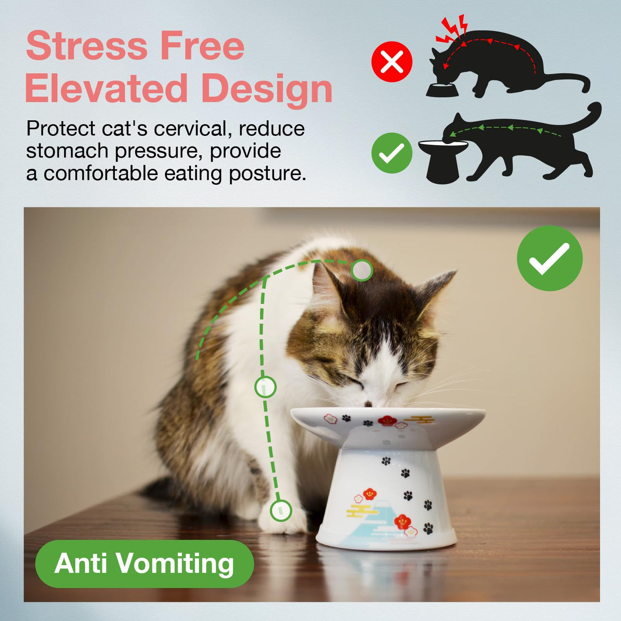 Necoichi Extra Wide Raised Cat Food Bowl, Elevated, Prevent Neck & Whisker Fatigue, Dishwasher and Microwave Safe, No.1 Seller in Japan! (Fuji Limited Edition, Extra Wide)