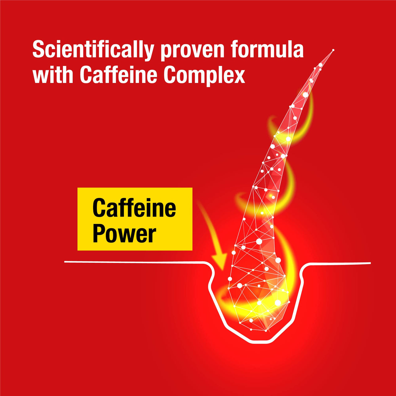 Alpecin Caffeine Shampoo C1 and Liquid | Prevents Hair Loss | Energizer for Strong Hair | Hair Care for Men | Set of 250ml Shampoo and 200ml Liquid