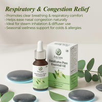 Zenaum Essences 100% Natural Eucalyptus Therapeutic Grade Essential Oil | 30ml (Pack of 2) | Respiratory Relief, Muscle Soothing & Aromatherapy | Sourced from Yunan, India | GMP, ISO & IFRA Certified