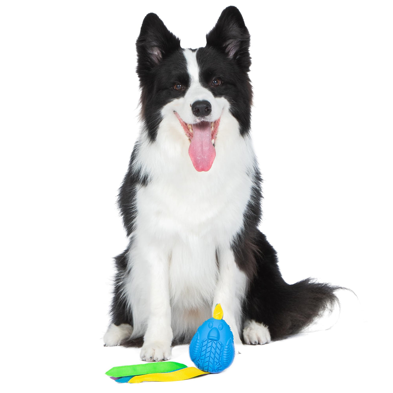 Arm & Hammer for Pets Super Treadz Large Rooster Dental Chew Toy for Dogs - Dog Dental Toys Help Reduce Plaque & Tartar Buildup Without Brushing - Safe for Dogs up to 35 Lbs Large - 1 Pack