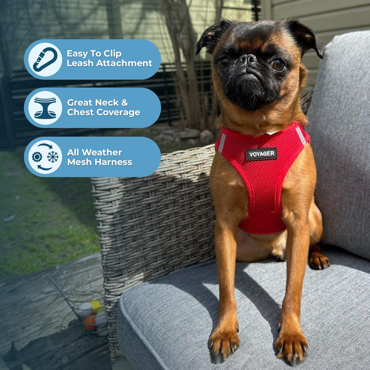 Voyager Step-in Air Dog Harness - All Weather Soft & Breathable Mesh Step in Vest Harness for Small and Medium Dogs and Cats by Best Pet Supplies - Harness (Red), XS (Chest: 13-14.5") Harness (Red) XS (Chest: 13 - 14.5")