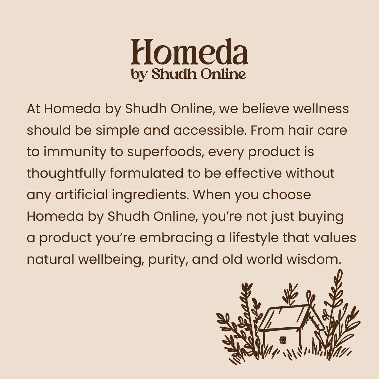 Shudh Online Amla, Reetha, Bhringraj, Shikakai & Hibiscus Powder combo for hair growth (50 grams each)