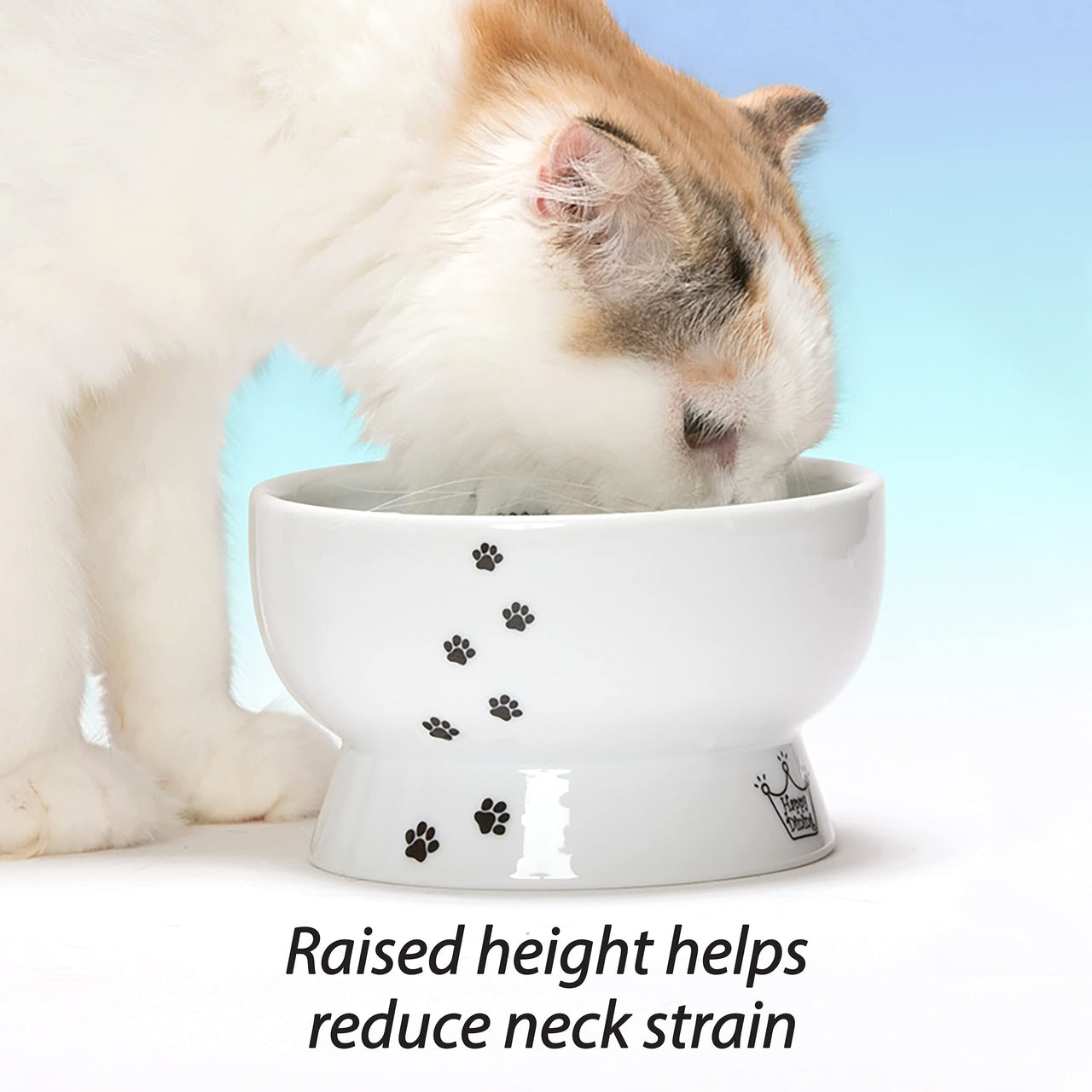 Necoichi Raised Cat Water Bowl, Elevated, with Measurement Lines, Dishwasher and Microwave Safe, No.1 Seller in Japan! (Cat, Regular)