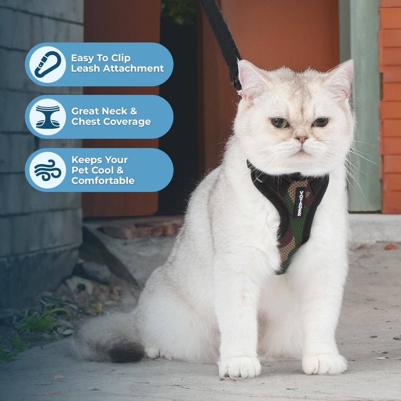 Voyager Step-in Lock Cat Harness w Reflective Cat Leash Combo Set with Neoprene Handle 5ft - Supports Small, Medium and Large Breed Cats by Best Pet Supplies - Army/Black Trim, XXS Harness Leash Set (Army/Black Trim) XXS (Chest: 11.5 - 14" * Fit Cats)