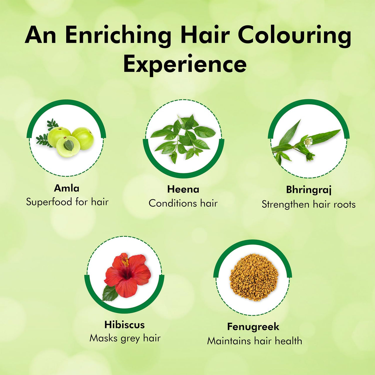 Indica Easy Do-It-Yourself Hair Color Shampoo Pump Pack with 5 Herbal Extracts and 100% Ammonia Free, Long Lasting Formula, 180 ML - Natural Black Colour (Gloves Included) (Pack of 2)