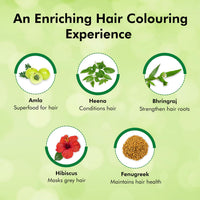 Indica Easy Do-It-Yourself Hair Color Shampoo Pump Pack with 5 Herbal Extracts and 100% Ammonia Free, Long Lasting Formula, 180 ML - Natural Black Colour (Gloves Included) (Pack of 2)