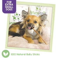 Nature Gnaws - Extra Thin Bully Sticks for Dogs - Premium Natural Beef Bones - Long Lasting Dog Chew Treats for Small Dogs & Puppies - Rawhide Free - 6 Inch
